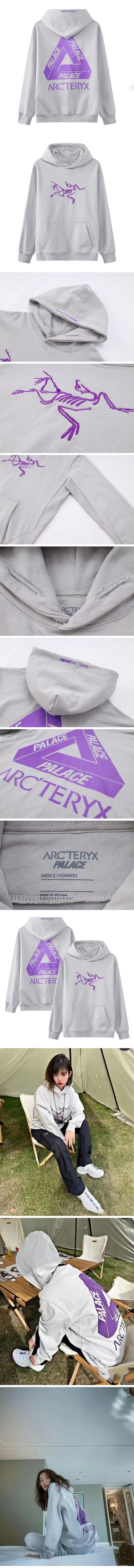 ARC'TERYX x PALACE Logo Hoodie Grey アークテリクス x パレス ロゴパーカー グレー