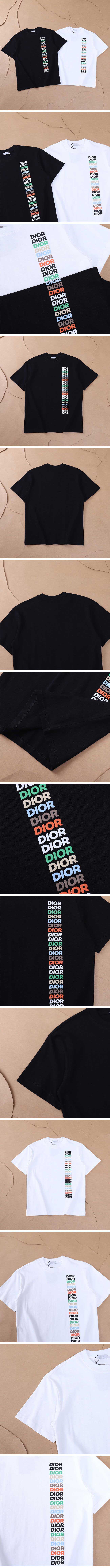 Dior Rainbow Logo Print Tee ディオール レインボー ロゴ プリント Tシャツ