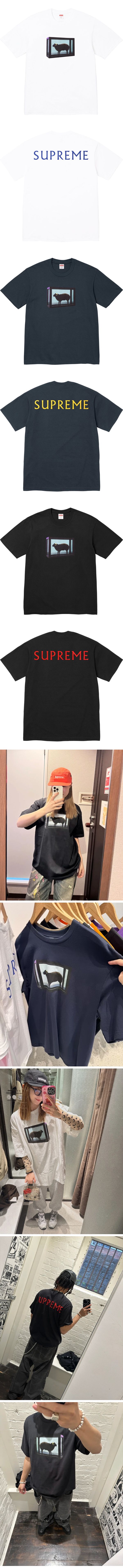 Supreme Damien Hirst Tee シュプリーム ダミアン・ハースト Tシャツ