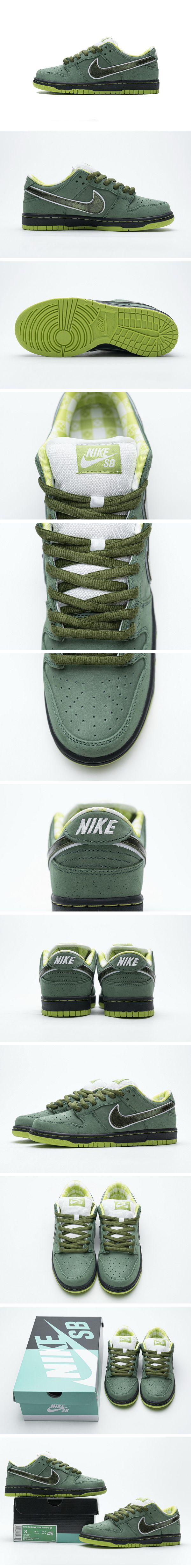 Concepts × Nike SB Dunk Low 