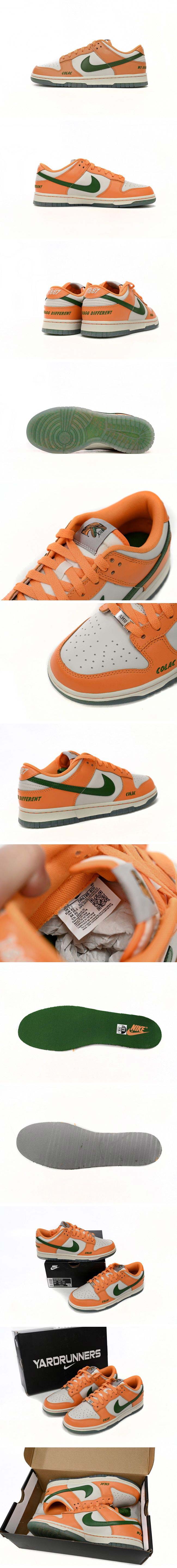 Florida A&M × Nike Dunk Low 