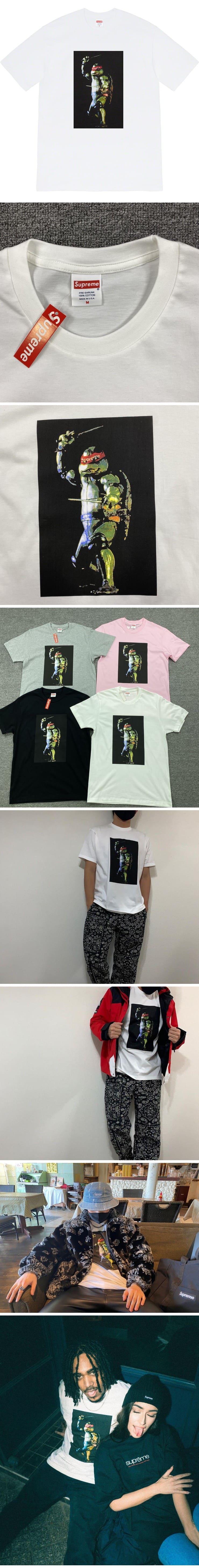 Supreme 21ss Raphael Tee White シュプリーム 21ss ラファエル Tシャツ ホワイト