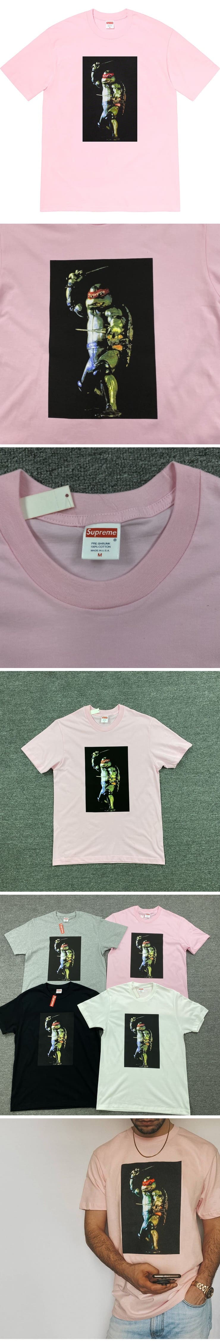 Supreme 21ss Raphael Tee Pink シュプリーム 21ss ラファエル Tシャツ ピンク