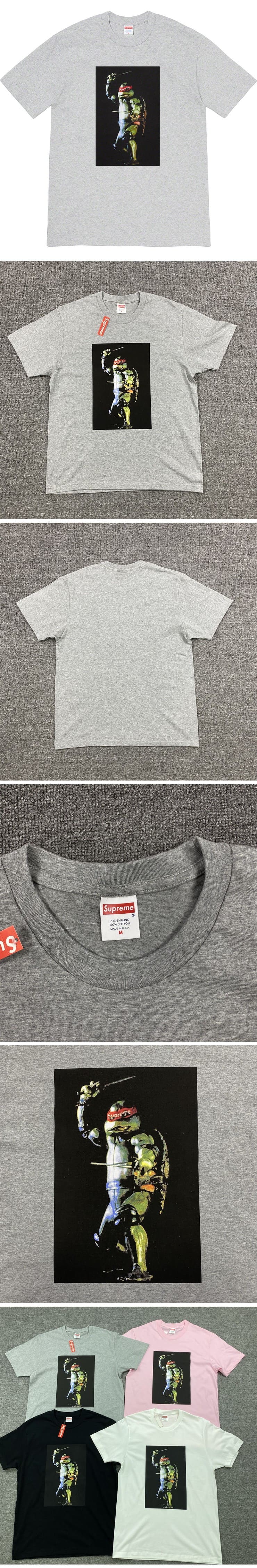 Supreme 21ss Raphael Tee Grey シュプリーム 21ss ラファエル Tシャツ グレー