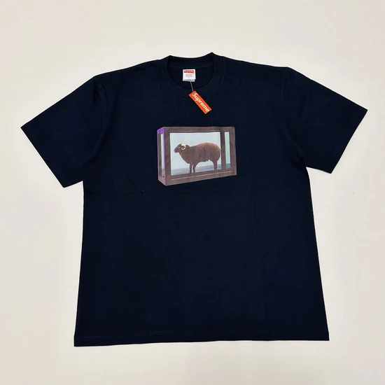 Supreme Damien Hirst Tee シュプリーム ダミアンハースト Tシャツ
