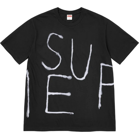 Supreme Painted Tee シュプリーム ペイント Tシャツ