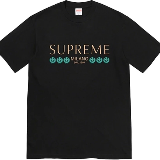 Supreme Milano Tee シュプリーム ミラノ Tシャツ