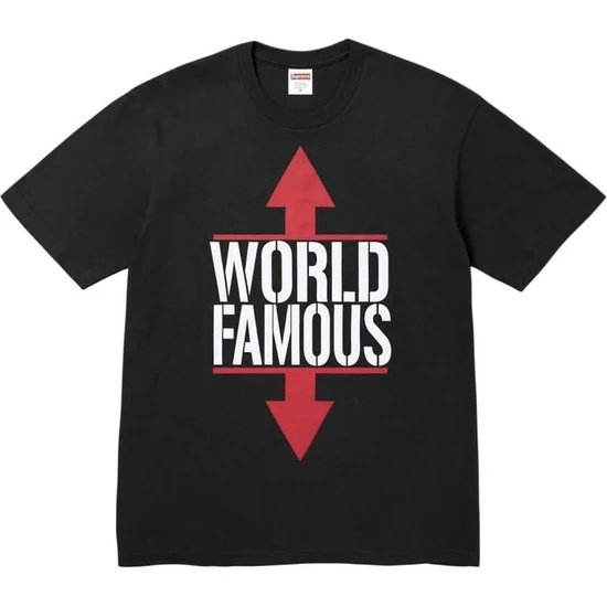 Supreme World Famous Tee シュプリーム ワールドフェイマス Tシャツ